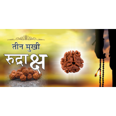 3 Mukhi Rudraksh (6.0)